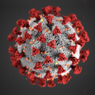 Coronavirus
