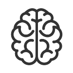 Brain